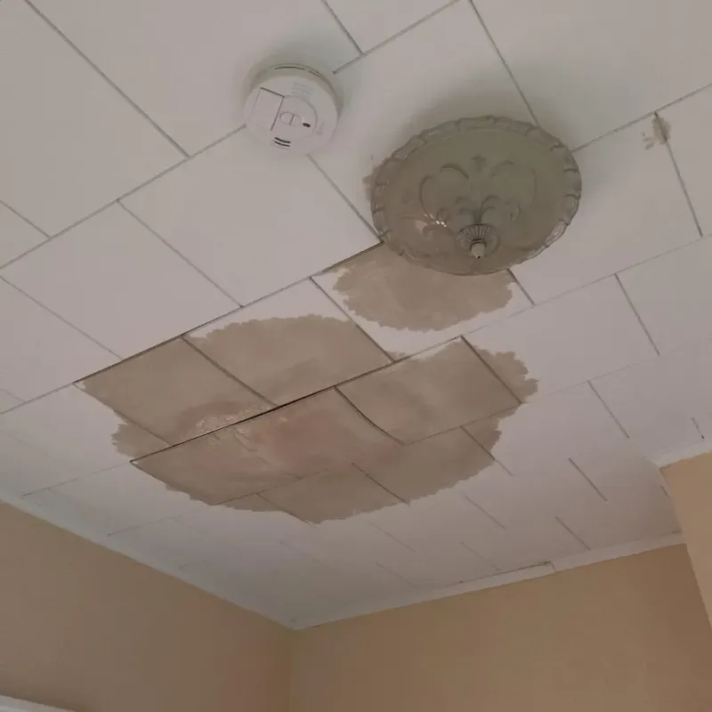 Ceiling Water Damage Repair in Glasco, NY