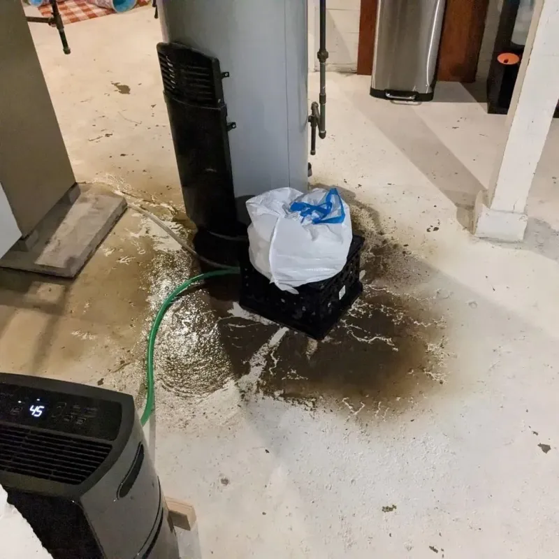 Sewage Backup Cleanup Service in Glasco, NY